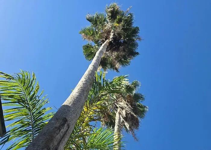 Sea Shell Palms, Ocho Rios