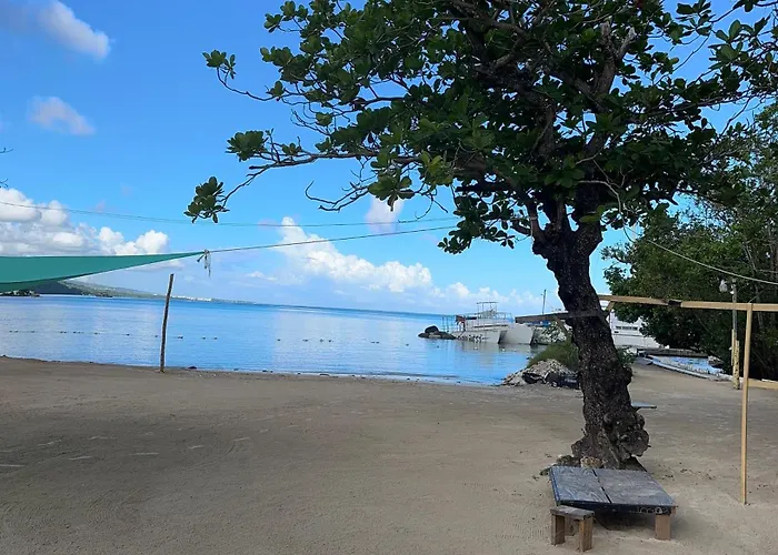 Sea La Vie