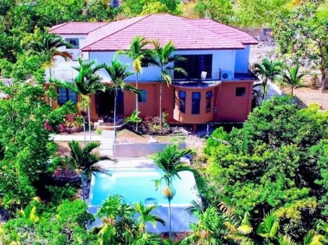 The Coconut Palm Villa ~Poolside Ocean View Suite