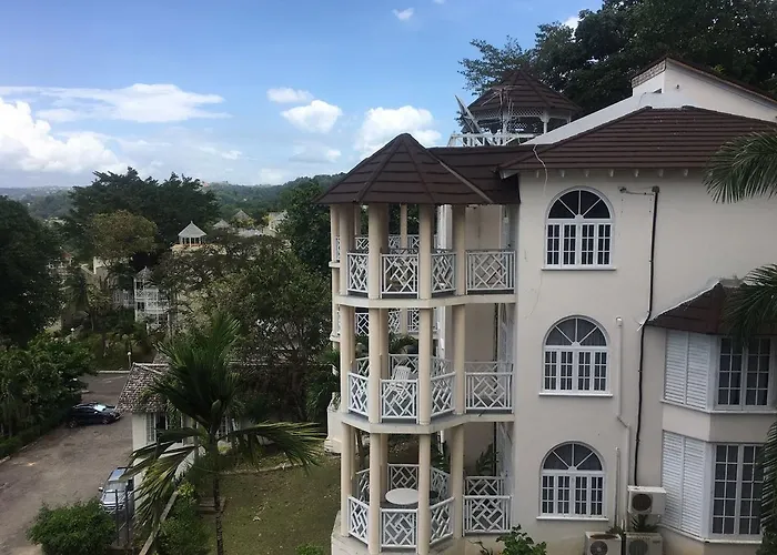 The Bird'S Eye View